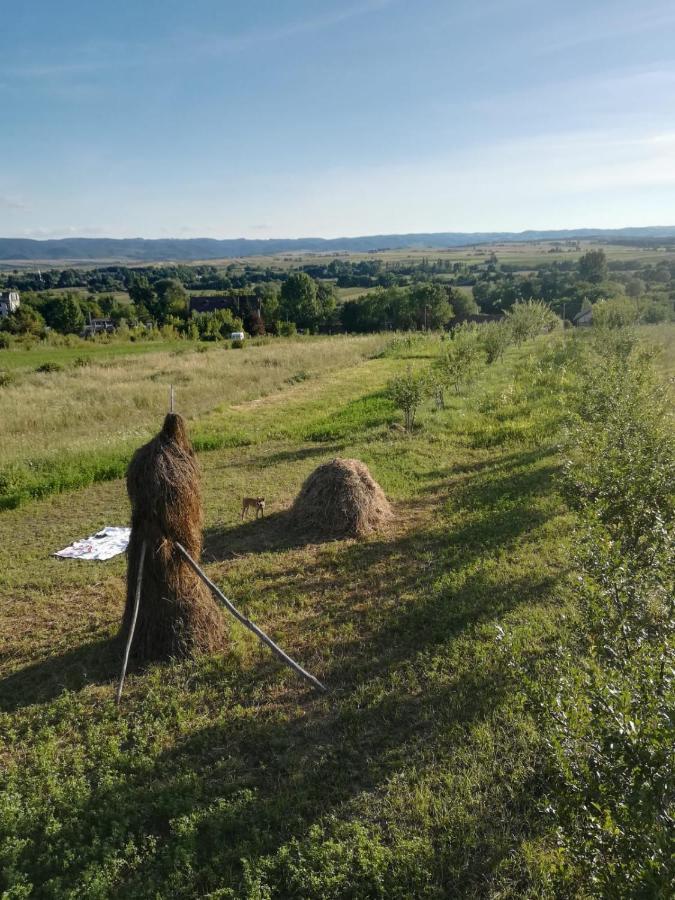 Pensiunea Agroturistica Casa Sirca Boghis Luaran gambar