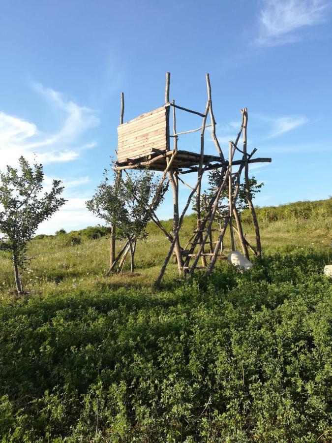 Pensiunea Agroturistica Casa Sirca Boghis Luaran gambar