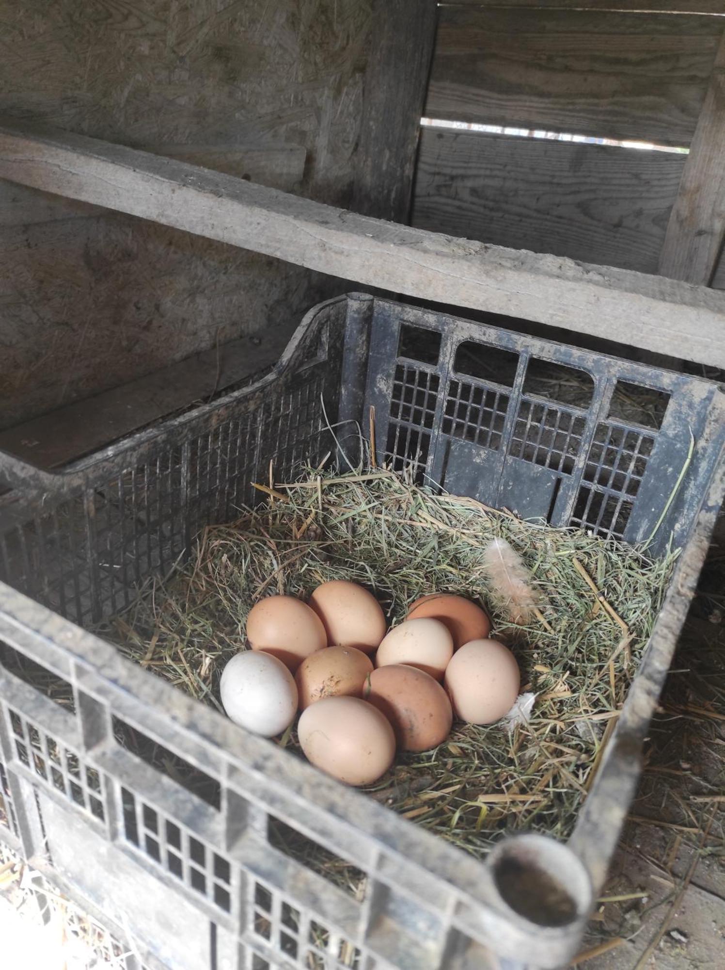 Pensiunea Agroturistica Casa Sirca Boghis Luaran gambar